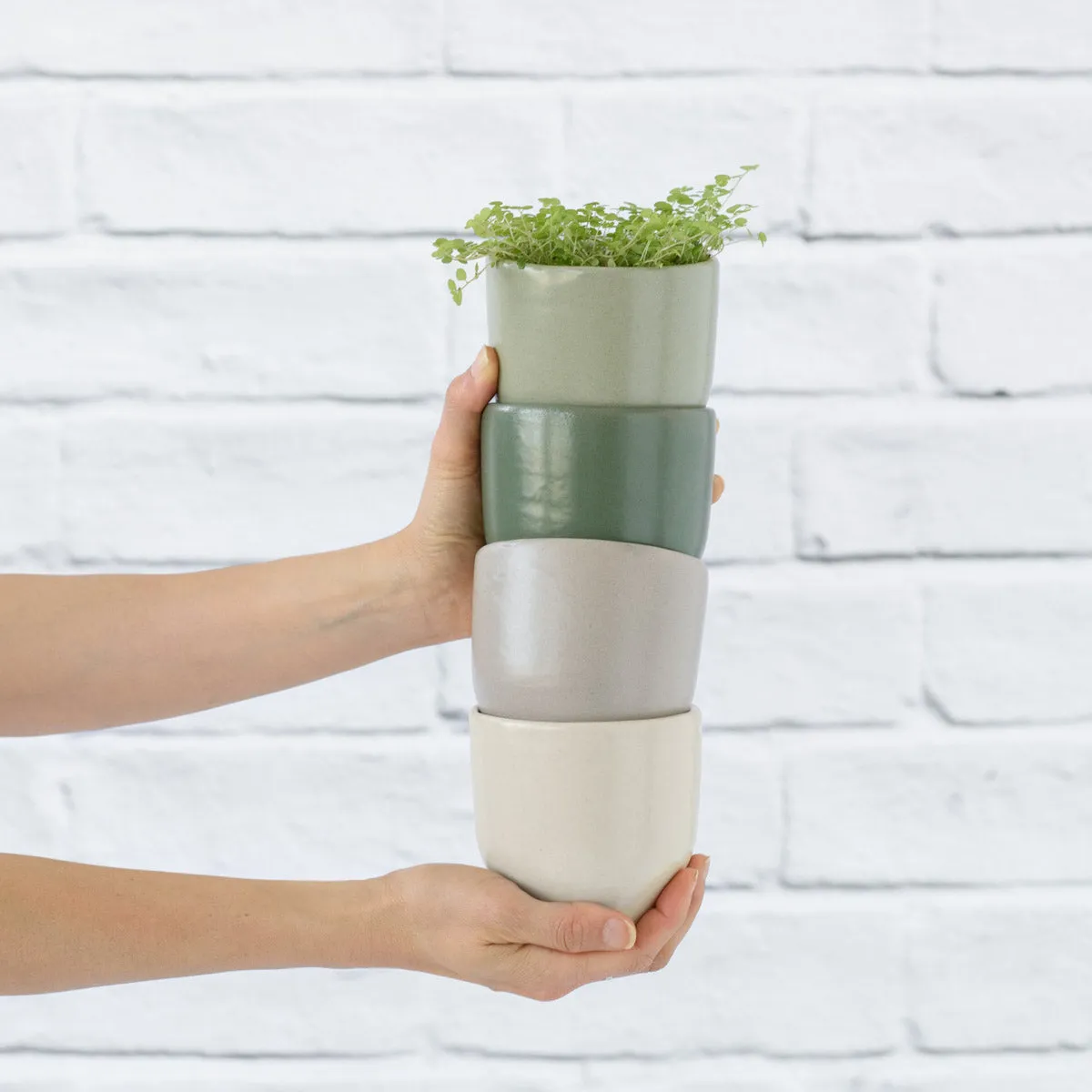 Calandiva Planter - Greens