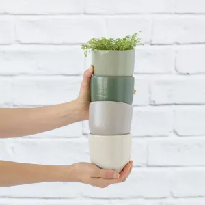 Calandiva Planter - Greens