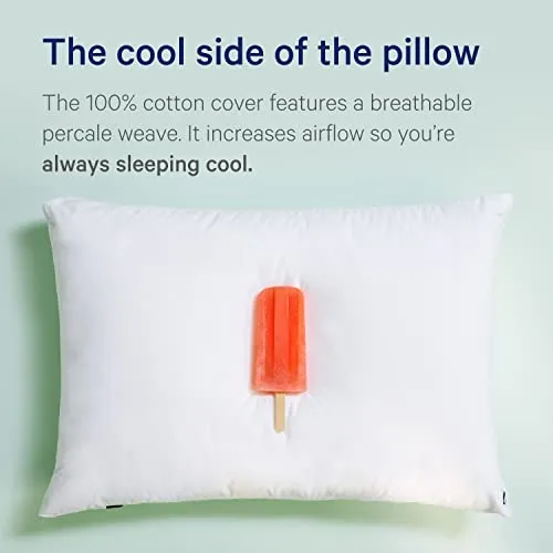 Casper Sleep Pillow for Sleeping, King (Pack of 2), White 2 Count