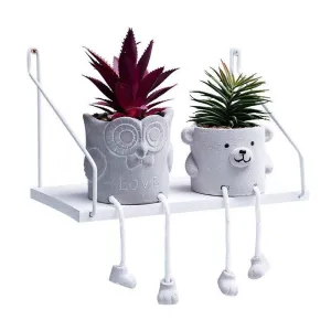 Cement succulent planters