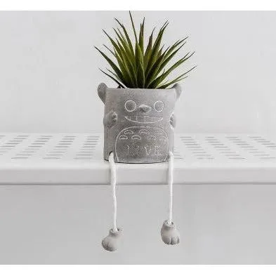 Cement succulent planters