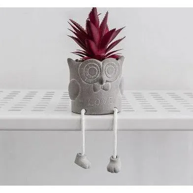 Cement succulent planters