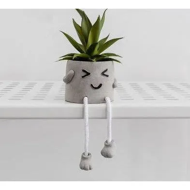Cement succulent planters