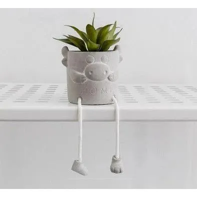 Cement succulent planters