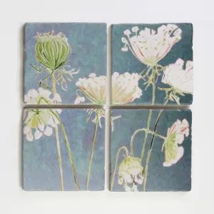 Coaster Set of 4 - Queen Anne's Lace on Teal