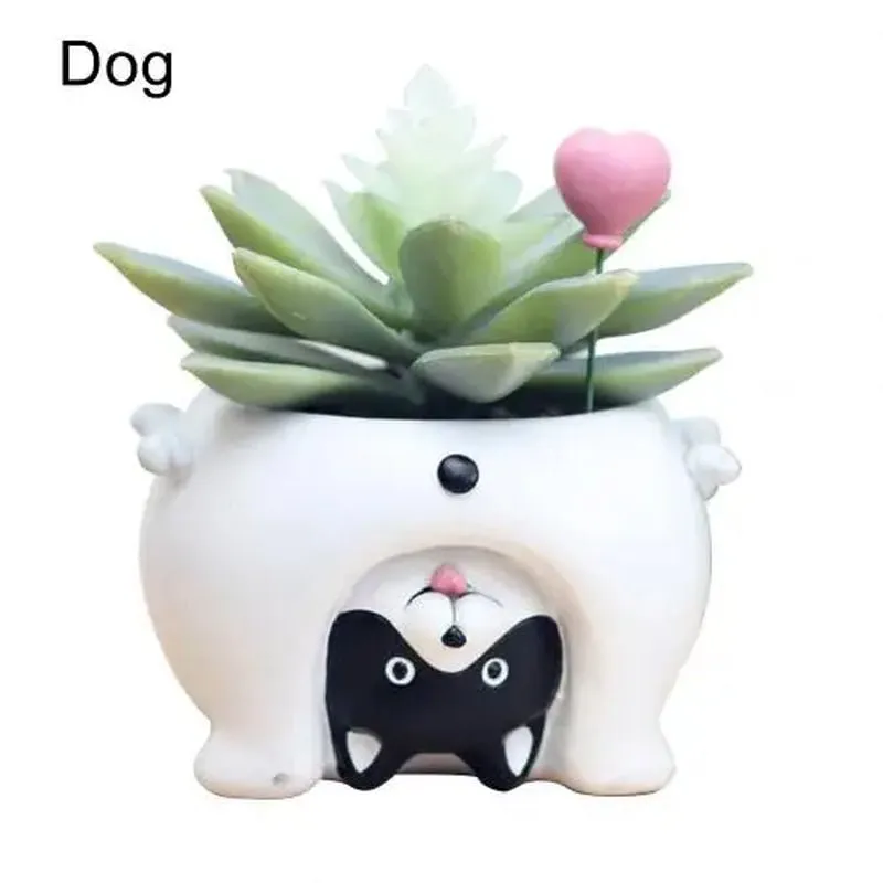 Cute Cat Pig Dog Succulent Plant Pot