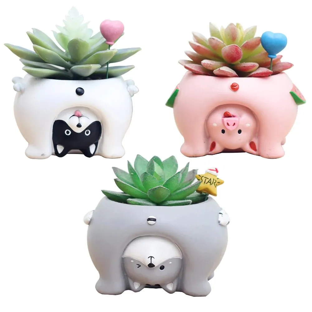 Cute Cat Pig Dog Succulent Plant Pot