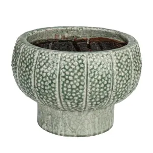 Embossed Vase/Planter
