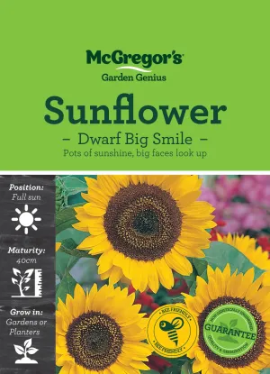Flower Seeds, McGregor's, Sunflower Big Smile