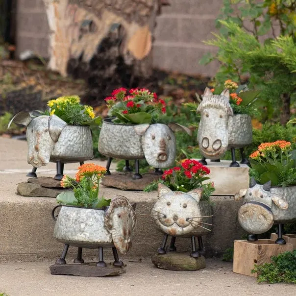 Galvanized Animal Planters in 6 Assorted Styles