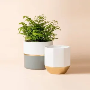 Garonne Rose Gold & Grey Planter Pot Set