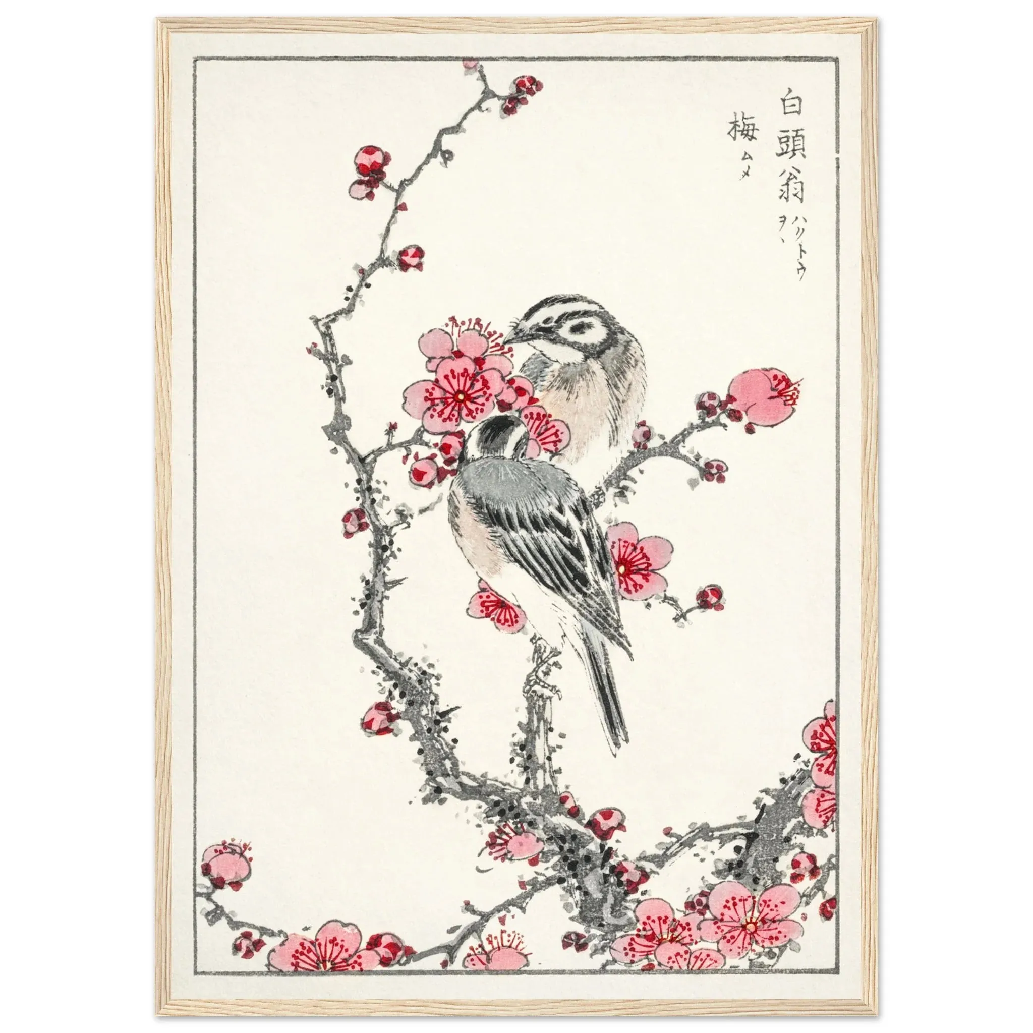 Japanese Cherry Blossom Canvas Wall Art