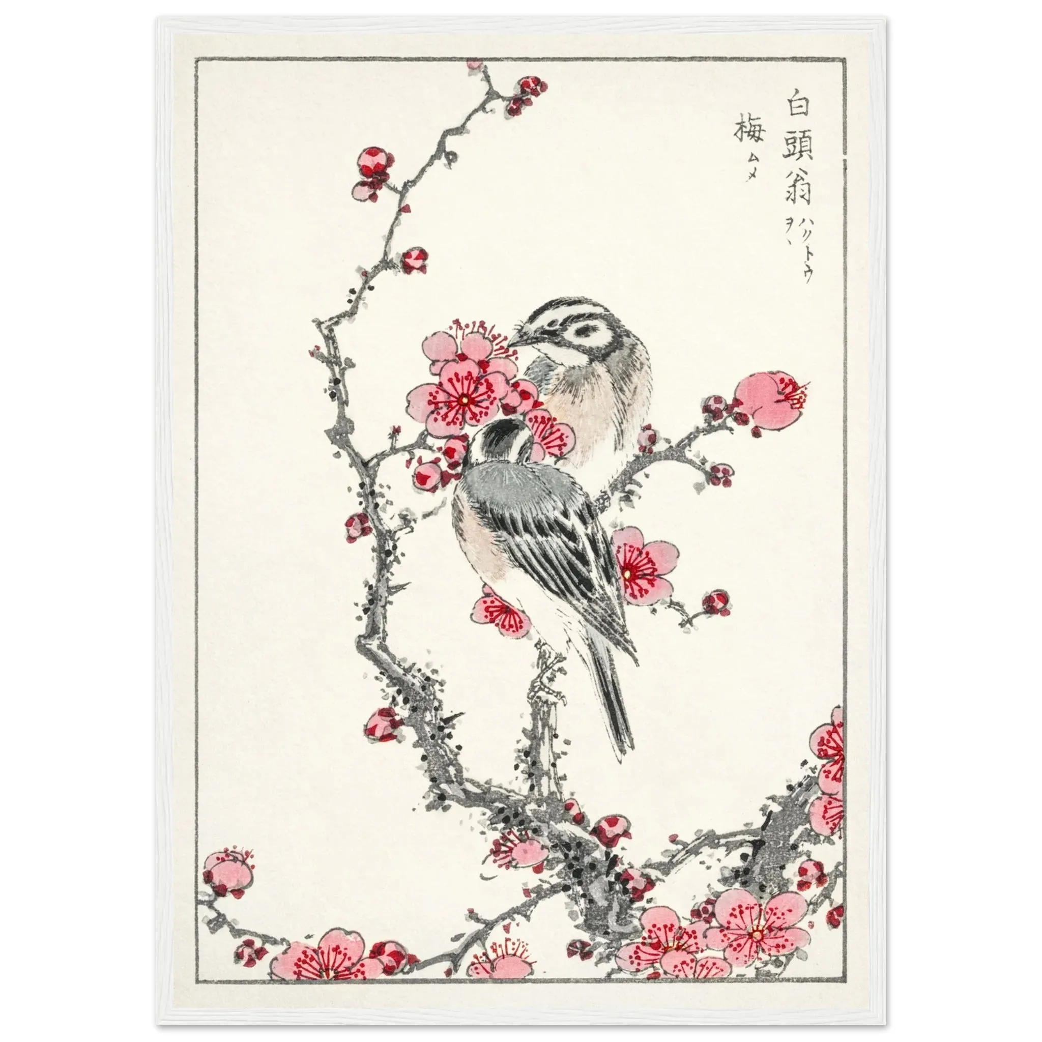 Japanese Cherry Blossom Canvas Wall Art