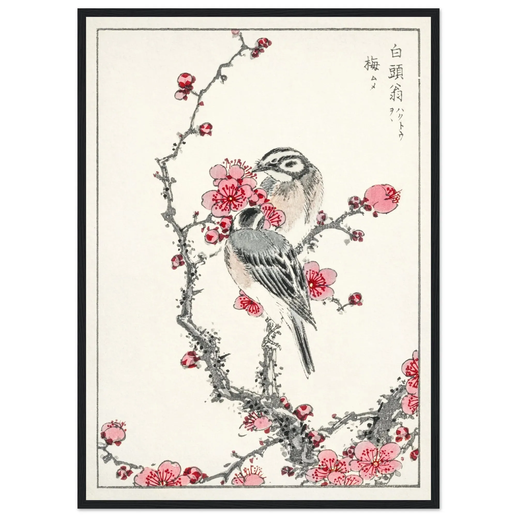 Japanese Cherry Blossom Canvas Wall Art