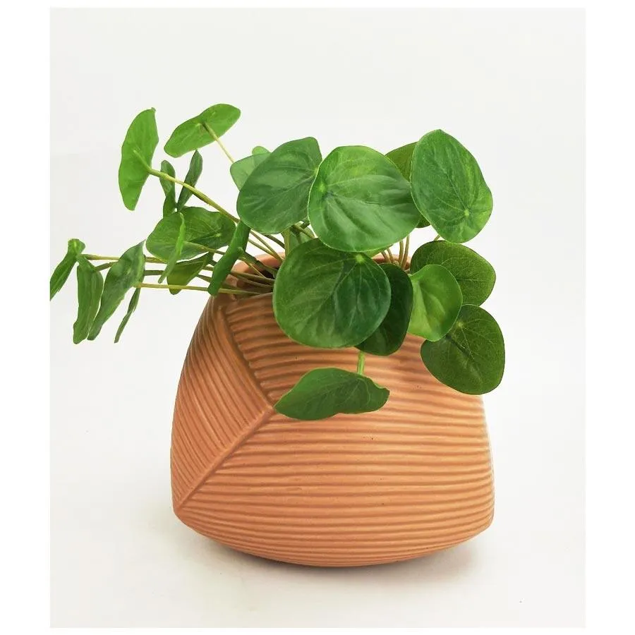 Jocelyn Planter - Sherbert (15cm)