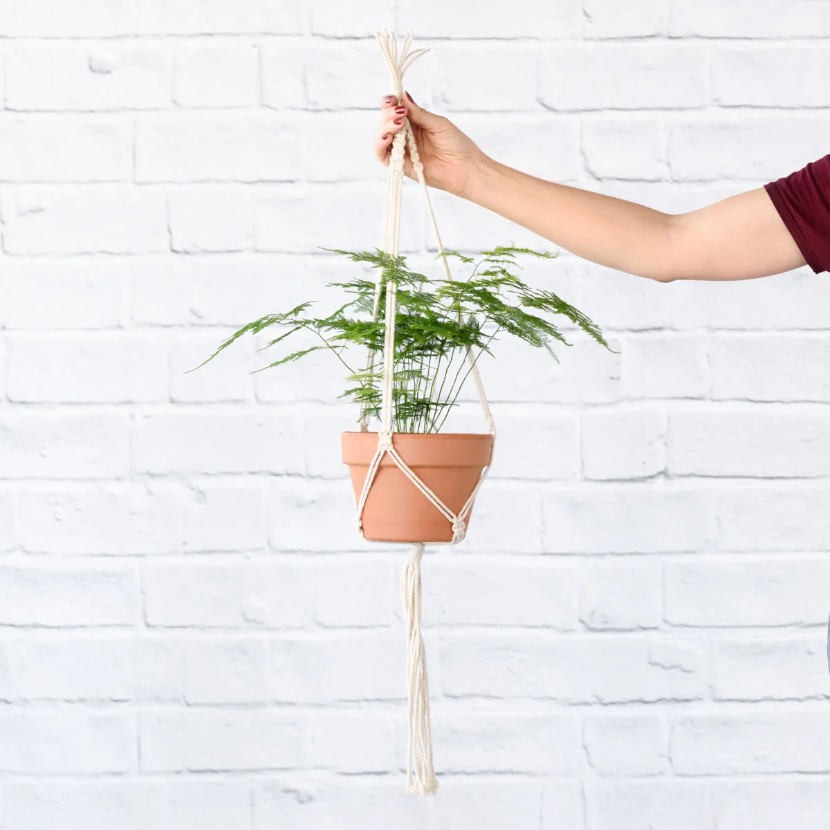 Macrame - Classic