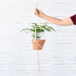 Macrame - Classic