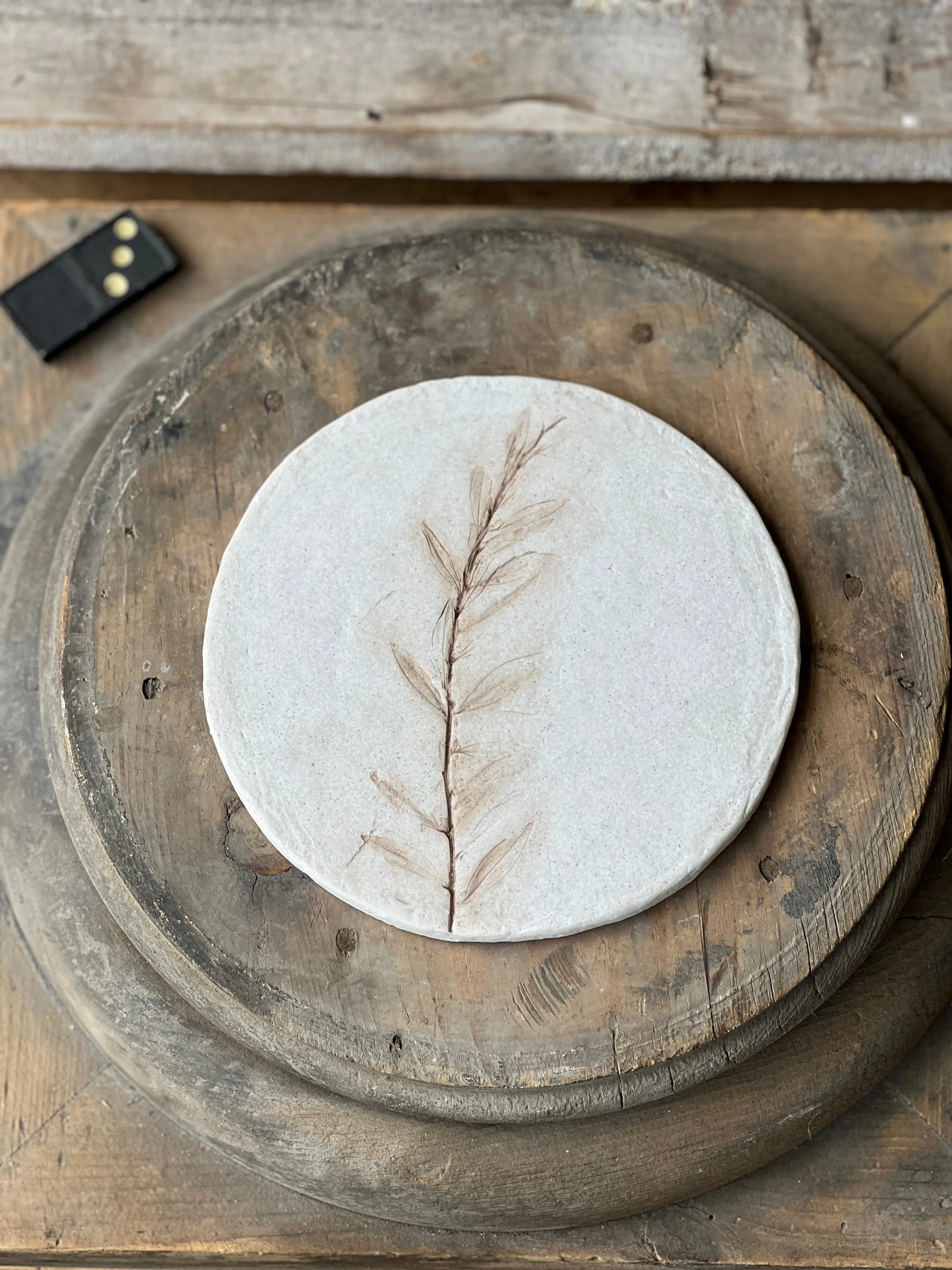 Nature's Expressions | No. 3 | NOT CURRENTLY IN STOCK-New For Spring 2025!