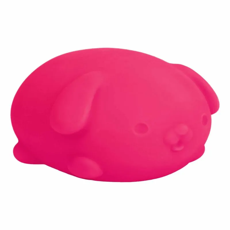 NeeDoh Funky Pup (1 Unit Assorted) by Schylling