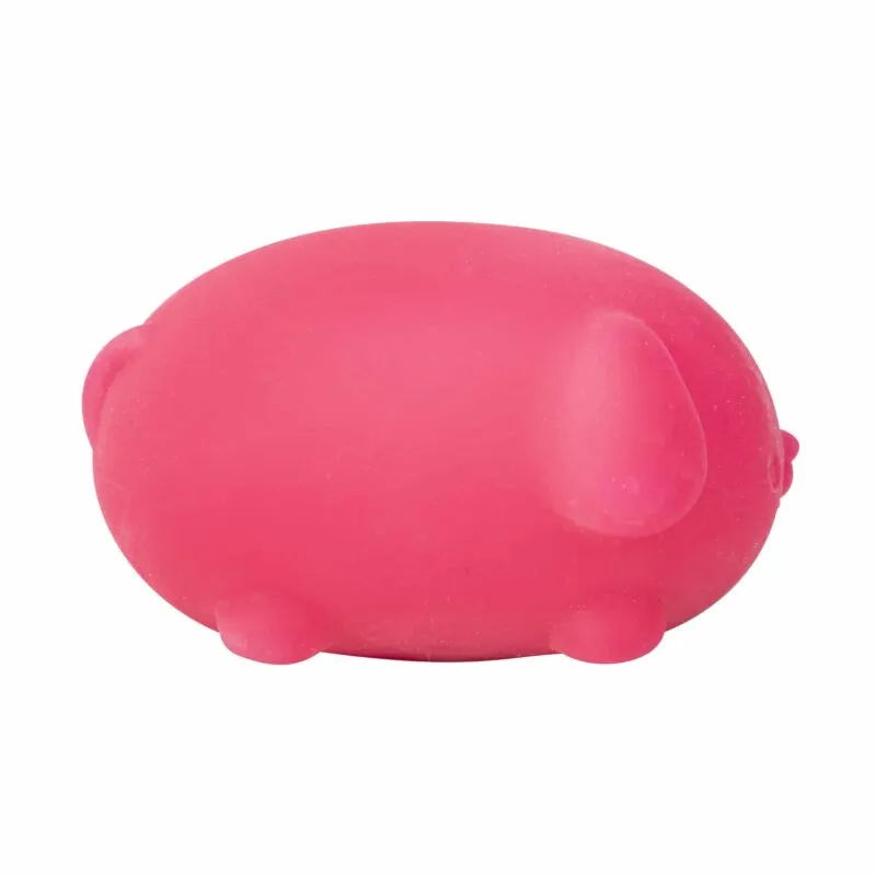 NeeDoh Funky Pup (1 Unit Assorted) by Schylling