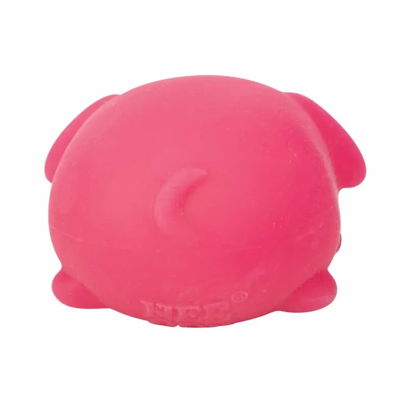 NeeDoh Funky Pup (1 Unit Assorted) by Schylling