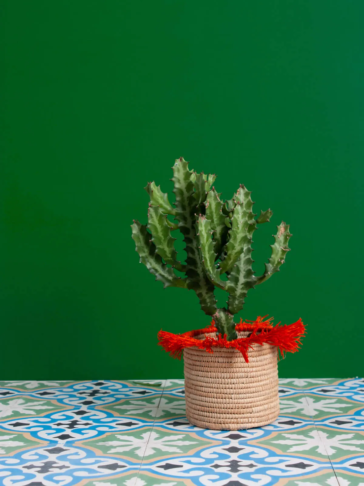 Raffia Tassel Storage Pots, Orange