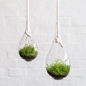 Raindrop Glass Hanging Planter