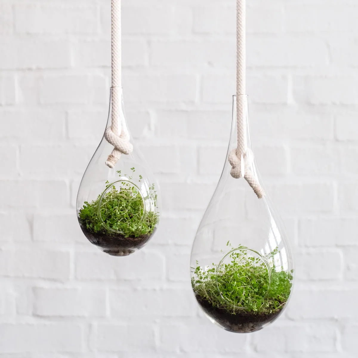 Raindrop Glass Hanging Planter