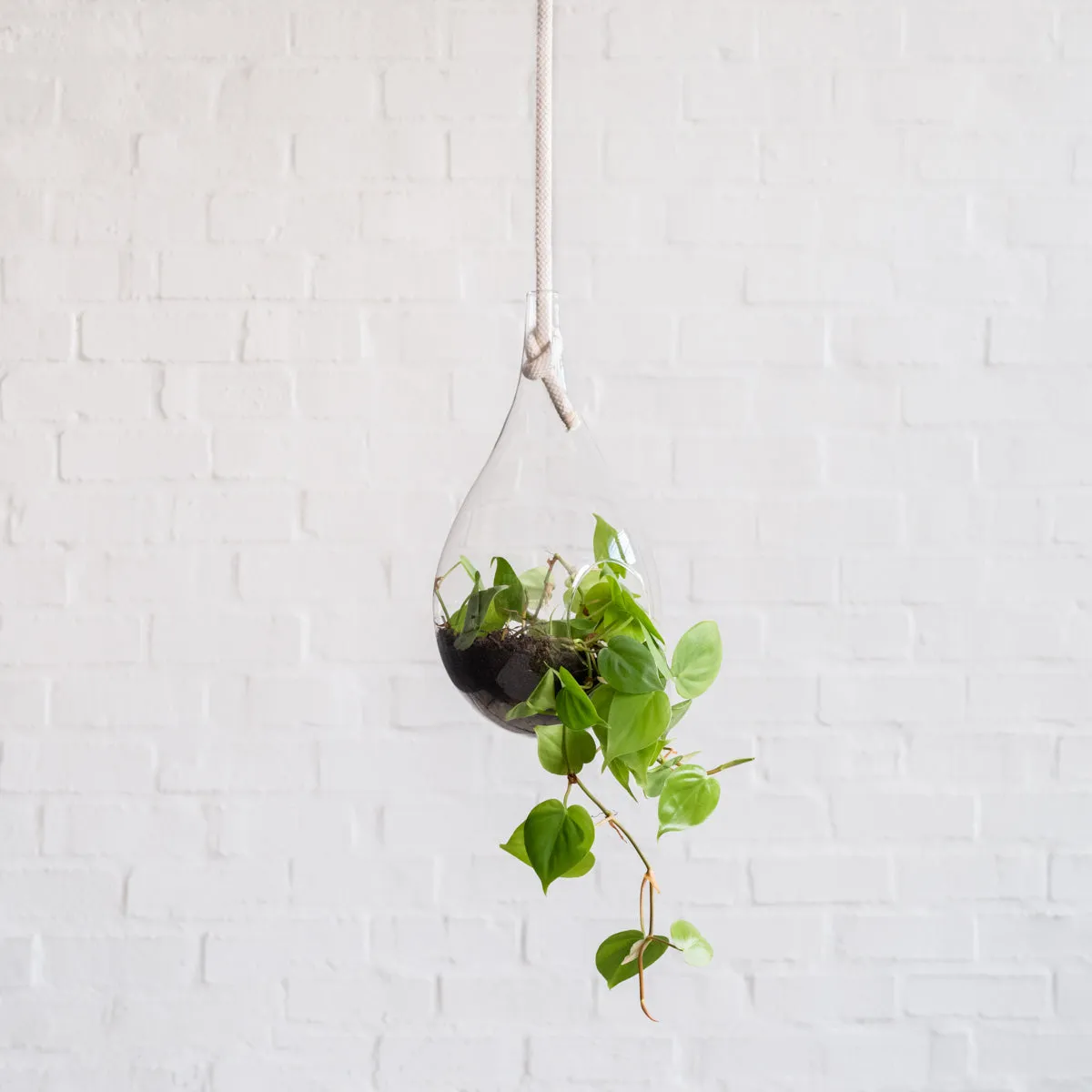 Raindrop Glass Hanging Planter