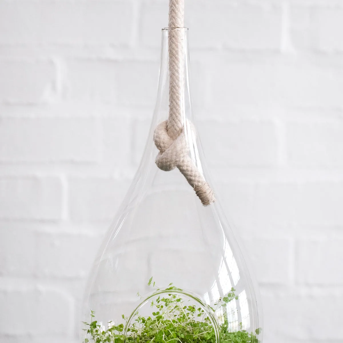 Raindrop Glass Hanging Planter