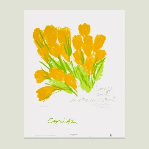 RARE crocuses for summer poster