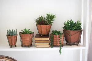 Set Of 5 Terracotta Planters With Wire Wrap And Brass Detail
