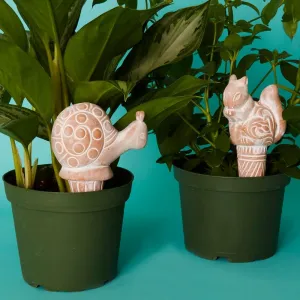 Snail Squirrel Terracotta Watering Stake Set
