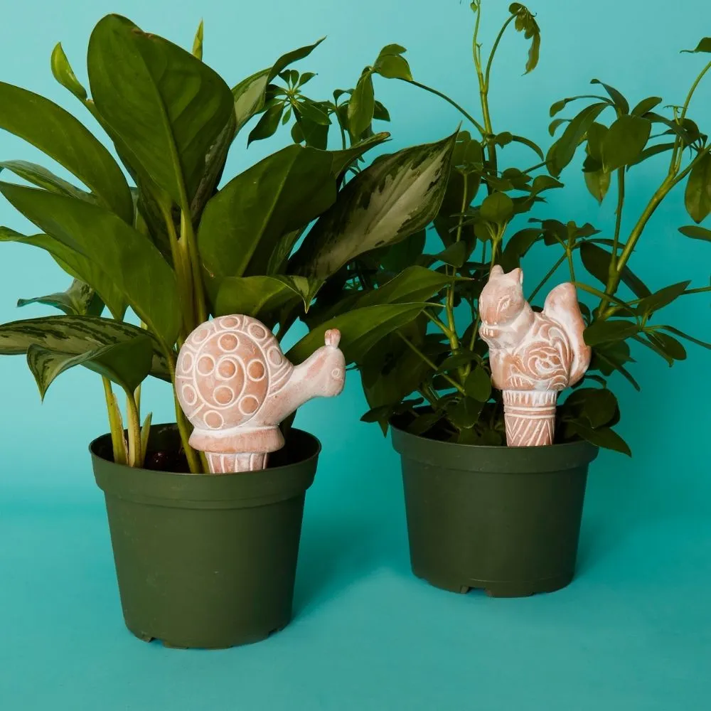 Snail Squirrel Terracotta Watering Stake Set