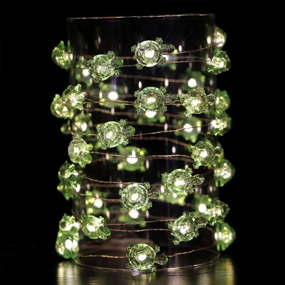 Turtle Lights