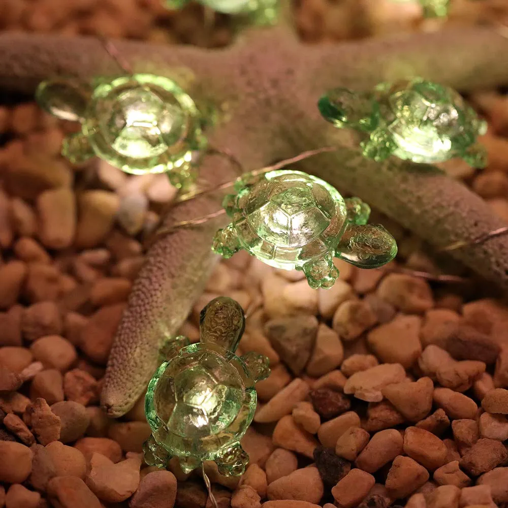 Turtle Lights