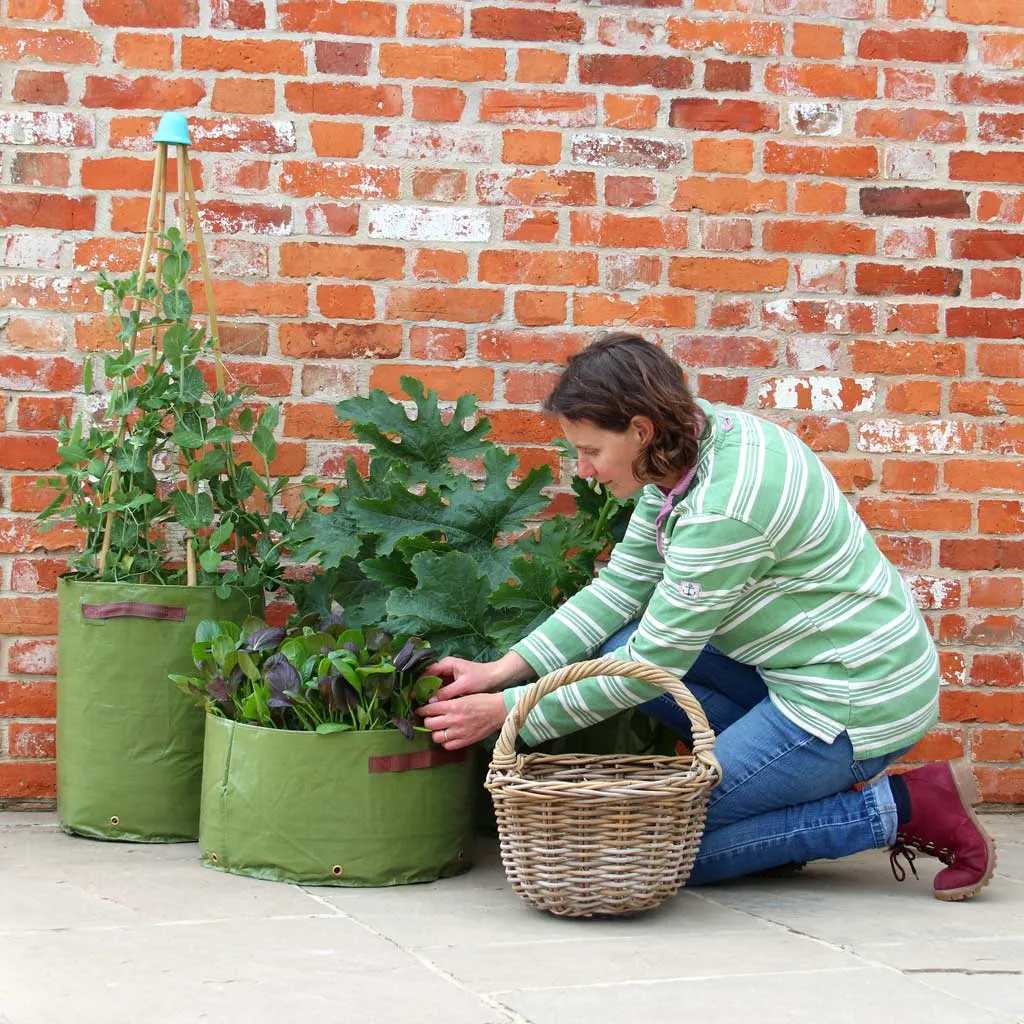 Vegetable Patio Planters - Set of 3