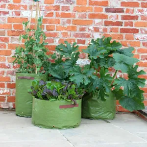 Vegetable Patio Planters - Set of 3
