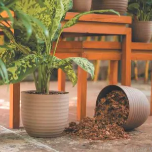 Verona ECO Series Planter For Indoor Or Outdoor ( Multicolor ) By Harshdeep