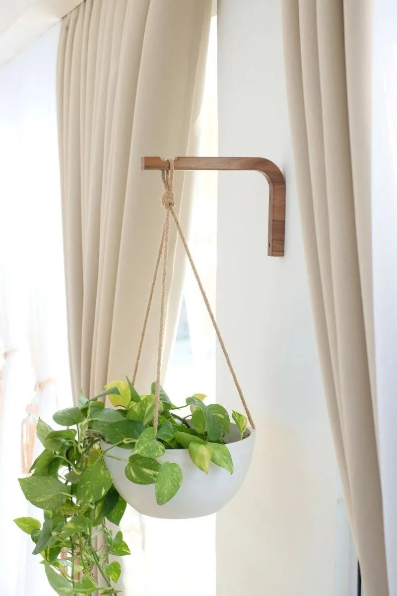 Walnut Or Birch Wall Hanger For Hanging Plants