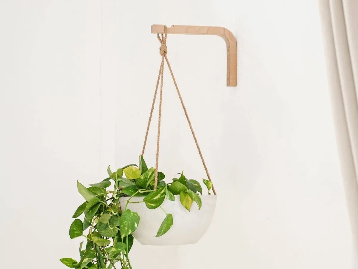 Walnut Or Birch Wall Hanger For Hanging Plants