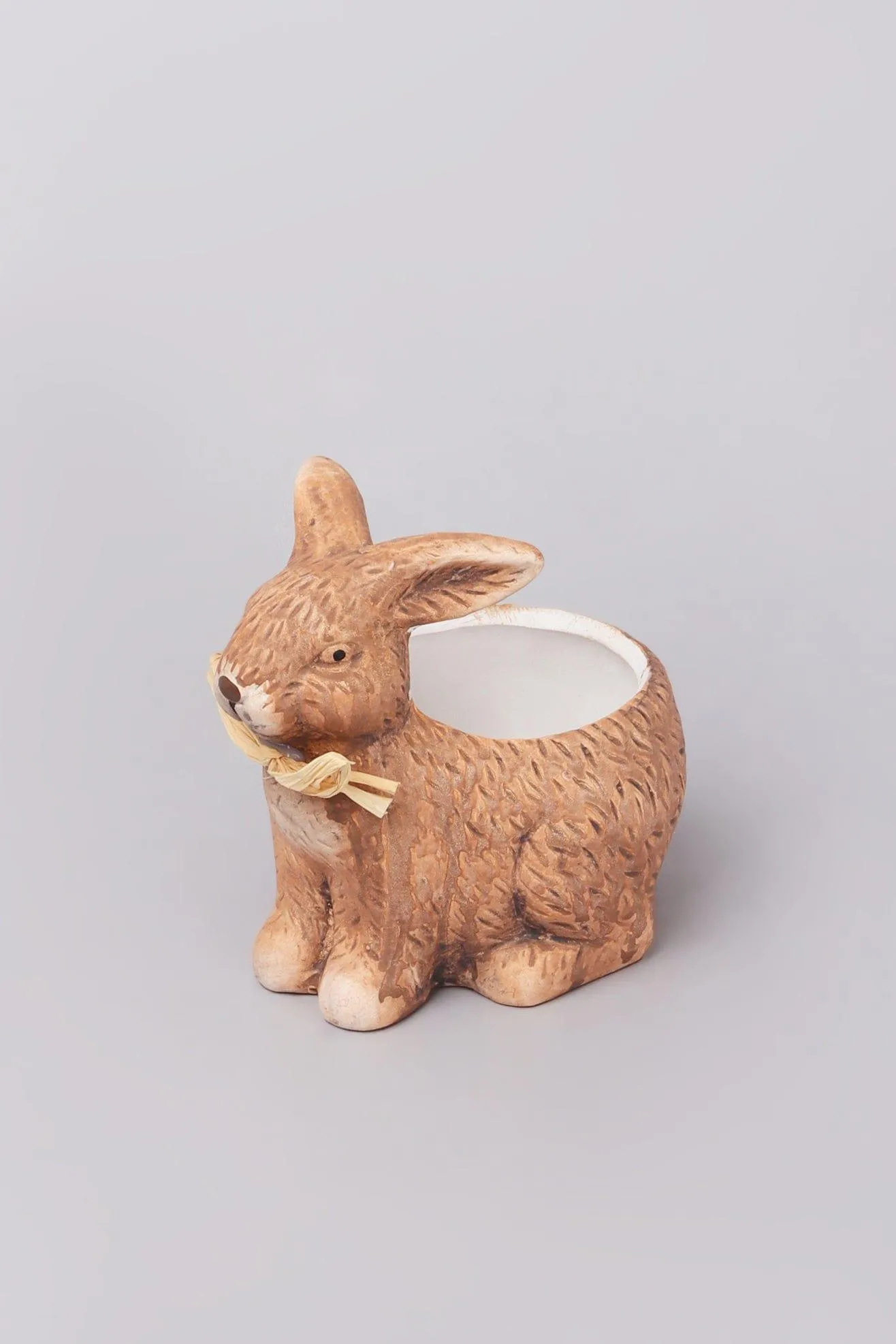 Wild Ceramic Bunny Planter