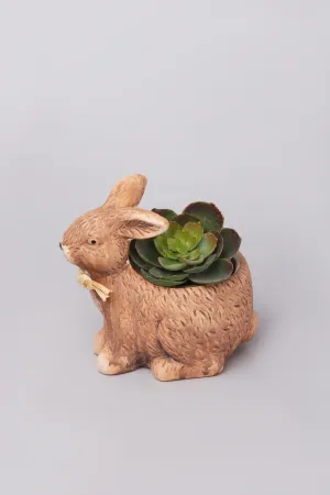 Wild Ceramic Bunny Planter